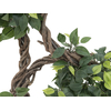 Ficus Multi Spiralstamm, Kunstpflanze, 160cm