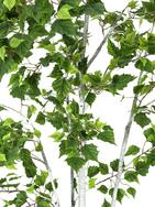 Birkenbaum, Kunstpflanze, 150cm