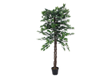 Ficus-Benjamini Multi-Stamm, Kunstpflanze, 150cm