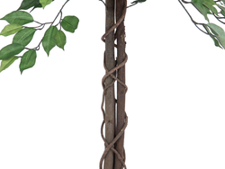Ficus-Benjamini Multi-Stamm, Kunstpflanze, 150cm