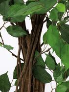 Ficus-Benjamini Multi-Stamm, Kunstpflanze, 210cm