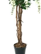 Goldregenbaum, Kunstpflanze, weiß, 150cm