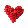 Rosenblätter, künstlich, rot, 500x
