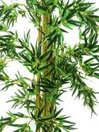 Bambus Multistamm, Kunstpflanze, 150cm