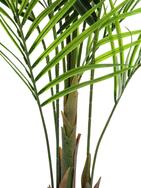Großblatt-Areca, Kunstpflanze, 165cm