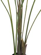 Großblatt-Areca, Kunstpflanze, 185cm