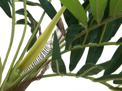 Parlour Palme, Kunstpflanze, 150cm
