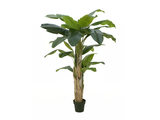 Bananenbaum, Kunstpflanze, 170cm