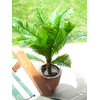 Cycas Palme, Kunstpflanze, 70cm