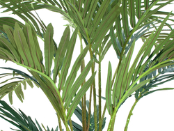 Kanarische Dattelpalme, Kunstpflanze, 240cm