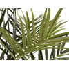 Kentia Palme, Kunstpflanze, 300cm