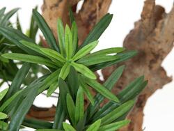 Bonsai-Palmenbaum, Kunstpflanze, 180cm