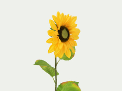 Sonnenblume, Kunstpflanze, 70cm