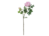Pfingstrosenzweig Premium, Kunstpflanze, pink, 100cm