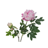 Pfingstrosenzweig Premium, Kunstpflanze, pink, 100cm