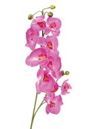 Orchideenzweig, künstlich, lila, 100cm