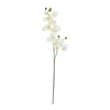 Orchideenzweig, künstlich, creme-weiß, 100cm