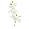 Orchideenzweig, künstlich, creme-weiß, 100cm