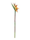 Paradiesvogel-Blume, Kunstpflanze, orange, 95cm