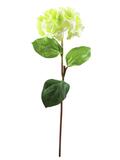 Hortensienzweig, künstlich, grün, 76cm