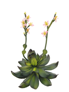 Steinrose (EVA), Kunstpflanze, pink, 32cm