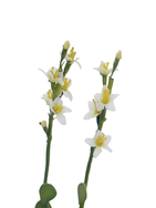 Steinrose (EVA), Kunstpflanze, gelb, 32cm