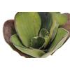Seerose (EVA), Kunstpflanze,geschlossen, grün, 45cm