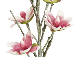 Magnolienzweig (EVA), künstlich, weiß-rosa
