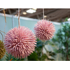 Sukkulenten Kugel (EVA), Kunstpflanze, rosa, 20cm