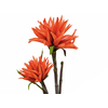 Dahlie (EVA), Kunstpflanze, orange, 100cm