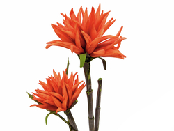 Dahlie (EVA), Kunstpflanze, orange, 100cm