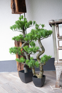 Bonsai Pinie, Kunstpflanze, 95cm