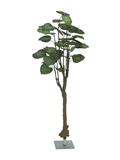 Pothosbaum, Kunstpflanze, 175cm