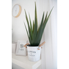 Aloe-Vera Pflanze, Kunstpflanze, 60cm