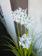 Alliumgras, Kunstpflanze, weiß, 120 cm