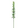 Kristalleukalyptus, Kunstpflanze, grün, 81cm 12x