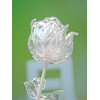 Kristallrose, Kunstblume, transparent, 81cm 12x