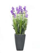 Lavendel, Kunstpflanze, lila, im Dekotopf, 45cm