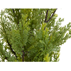 Zypresse, Leyland, Kunstpflanze, 60cm