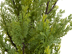 Zypresse, Leyland, Kunstpflanze, 60cm