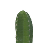 Mexikanischer Kaktus, Kunstpflanze, grün, 97cm