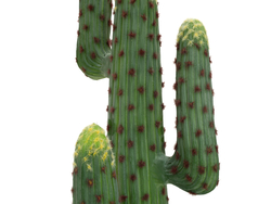 Mexikanischer Kaktus, Kunstpflanze, grün, 173cm