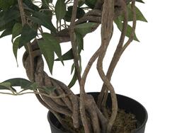 Ficus Multi Spiralstamm, Kunstpflanze, 130cm