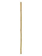 Bambusrohr, Ø=5cm, 200cm
