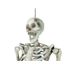 Halloween Skelett, 150 cm