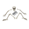 Halloween Skelett, mehrteilig