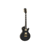 LP-530 E-Gitarre, schwarz/gold