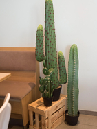 Mexikanischer Kaktus, Kunstpflanze, grün, 97cm