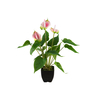 Anthurie, Kunstpflanze, weiß pink