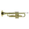 TP-10 B-Trompete, gold